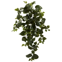 Hanging Philo Plant, 3ct.