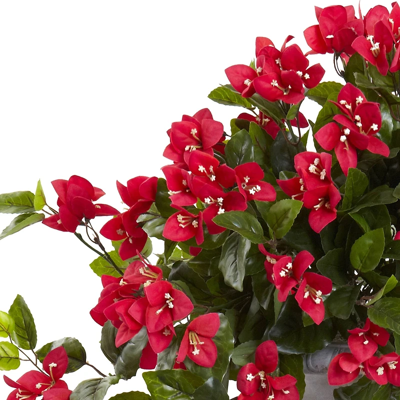 28" Bougainvillea In Decorative Urn