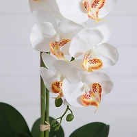 2.25ft. Artificial Triple Orchid Arrangement in Handmade Mexican Talavera Ceramic Planter