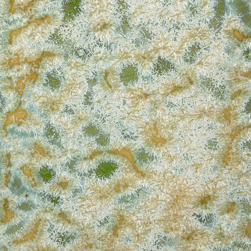 Hello Honey® Long Green Reactive Crackle Glaze Stoneware Platters, 2ct.