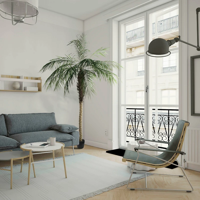 9ft. Potted Phoenix Palm Tree