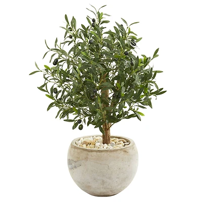2.5ft. Olive Tree in Bowl Planter