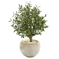 2.5ft. Olive Tree in Bowl Planter