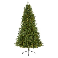 7ft. Pre-Lit New Hampshire Fir Artificial Christmas Tree, Clear LED Lights