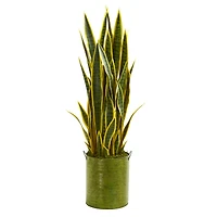 3ft. Snake Plant in Green Metal Planter