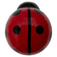Ceramic Ladybug Timer by Ashland®