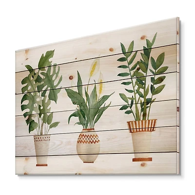 Designart - Houseplant Monstera & Peace Lily In Terra Cotta - Farmhouse Print on Natural Pine Wood