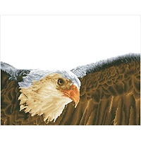 Diamond Dotz® Advanced Bald Eagle & Flag Diamond Painting Kit