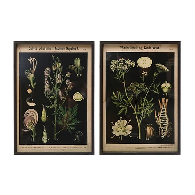 Hello Honey® 22" Botanical Wall Prints in Wooden Frame Set