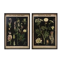 Hello Honey® 22" Botanical Wall Prints in Wooden Frame Set