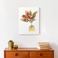 Bright Coastal Plant 12" x 16" Canvas Wall Art