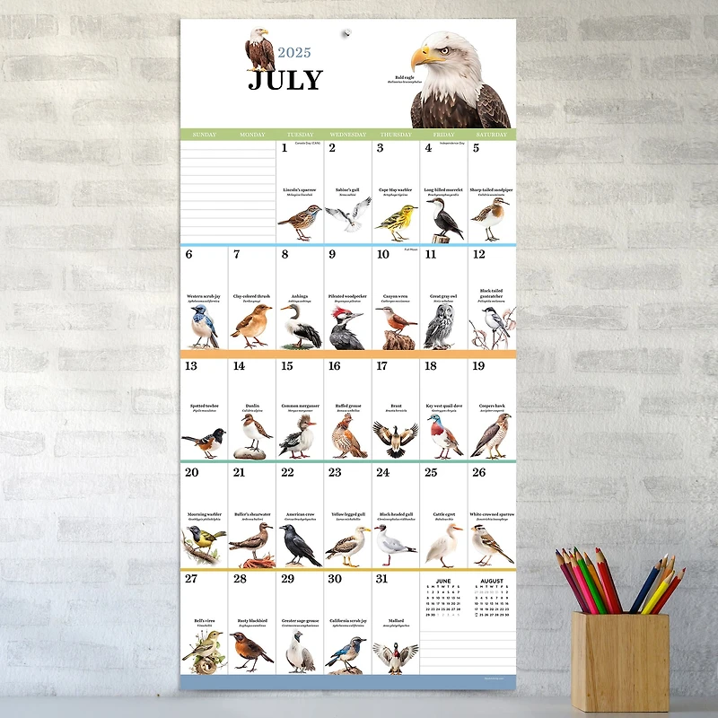 TF Publishing 2025 Birds: Backyard & Beyond Wall Calendar