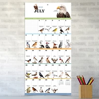 TF Publishing 2025 Birds: Backyard & Beyond Wall Calendar