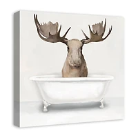 Moose In The Tub 20" x 20" Canvas Wall Art