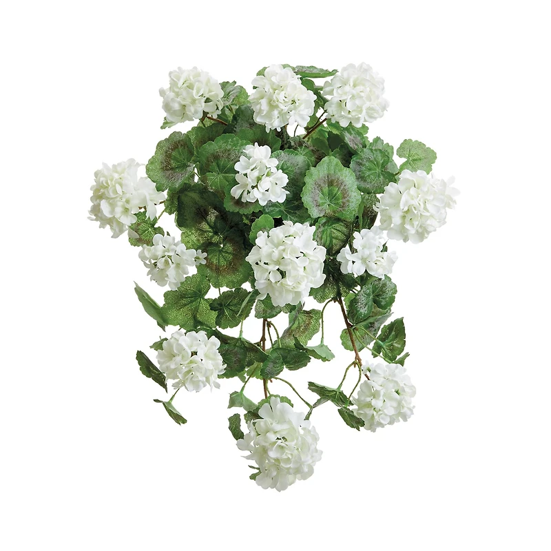 White Geranium Hanging Bush