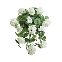 White Geranium Hanging Bush