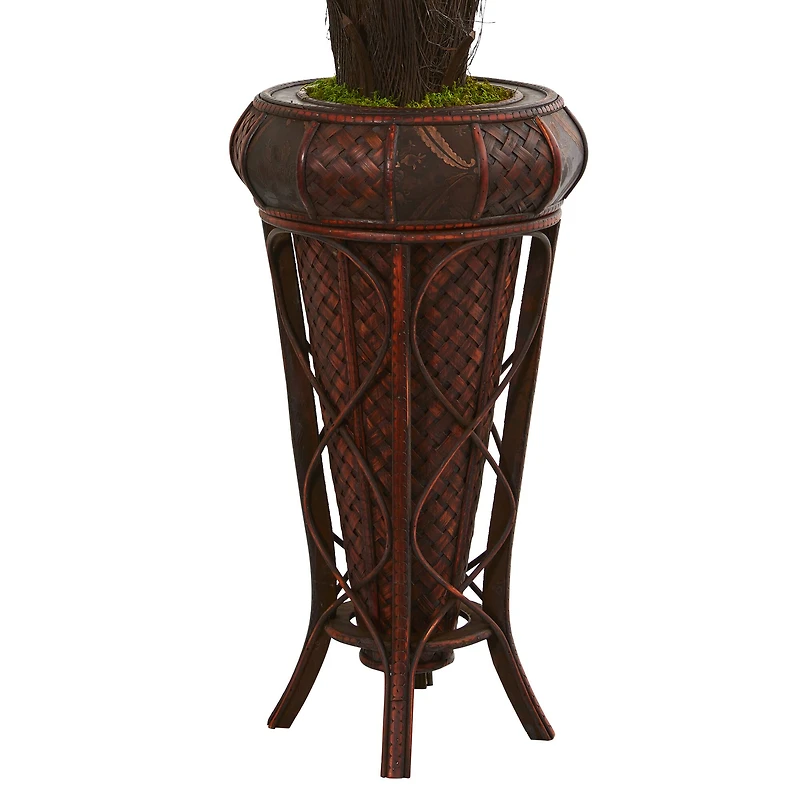 4ft. Cycas Tree in Decorative Stand