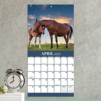 TF Publishing 2025 Horses Mini Calendar