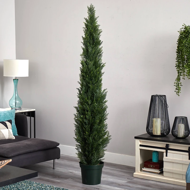 7ft. Potted Mini Cedar Pine Tree