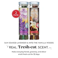 Scentsicles Stick Sun Soaked Lavender and Into the Vanilla Woods, 2 pack of 6