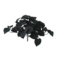 14" Black Philodendron Bush by Ashland®