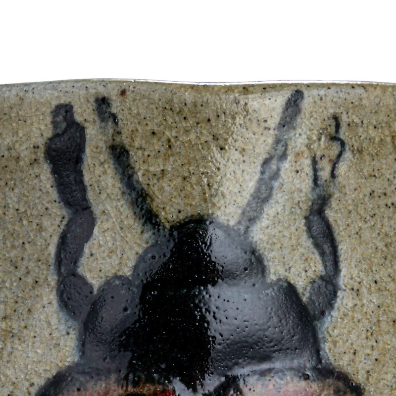 Hello Honey® Insect & Bird Design Stoneware Mug Set