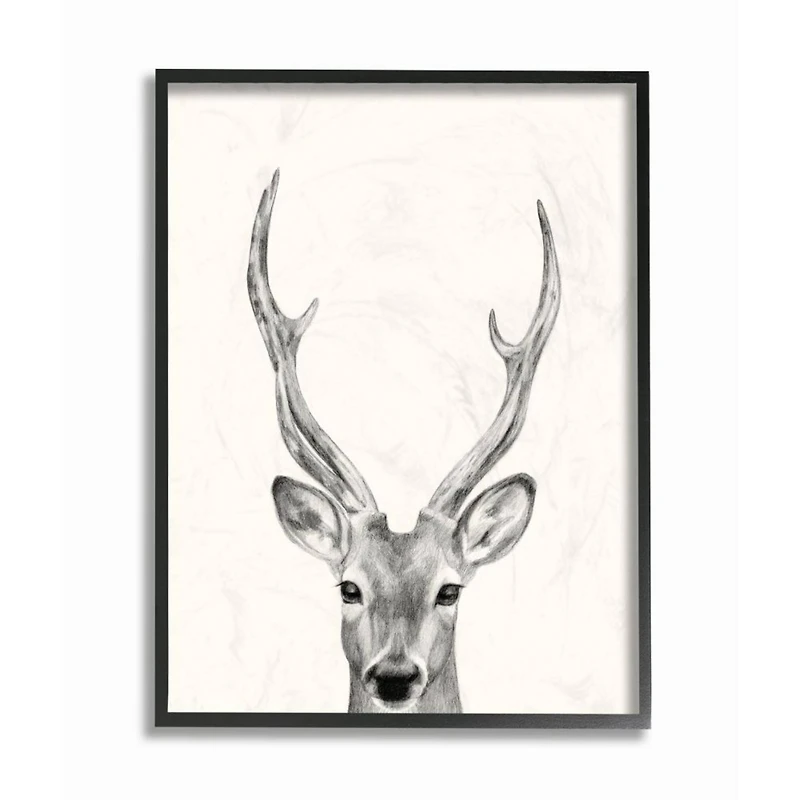 Stupell Industries Deer Portrait Grey Drawing Design Framed Wall Art