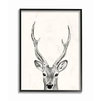 Stupell Industries Deer Portrait Grey Drawing Design Framed Wall Art