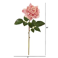 Rose Flower Stem