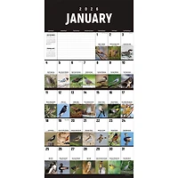 2026 Birds: Backyard and Beyond Wall Calendar