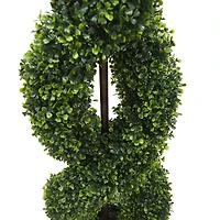 5ft. Green Boxwood Double Spiral Topiary Tree
