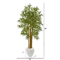 5ft. Bambusa Bamboo Tree in White Planter