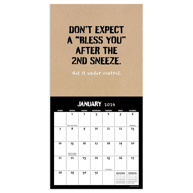 TF Publishing 2024 Anti-Affirmations & Sarcasm Mini Calendar