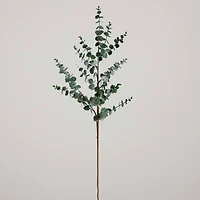40" Green Eucalyptus Stems, 3ct.