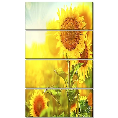Designart - Bright Sunflowers Blooming on Field