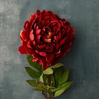 12 Pack: Red Peony Stem by Ashland®