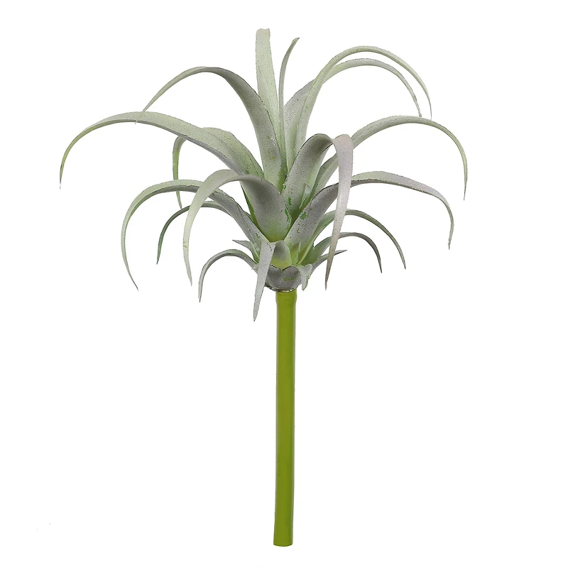 Assorted 7" Tillandsia Pick by Ashland®
