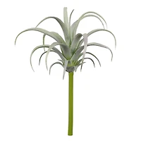 Assorted 7" Tillandsia Pick by Ashland®