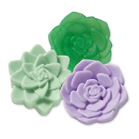 Silicone Succulent Soap Mold by Make Market®