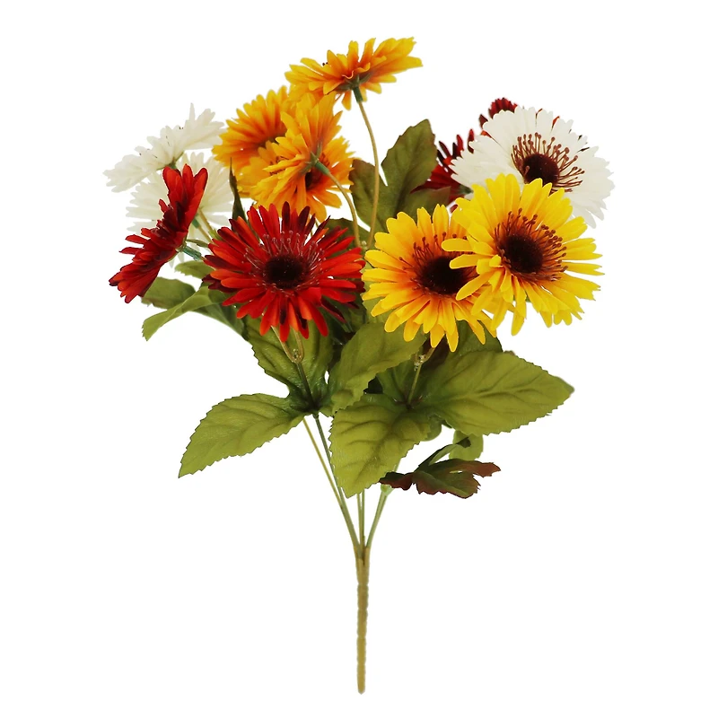 10" Yellow, White & Red Daisy Mixed Bush by Ashland®