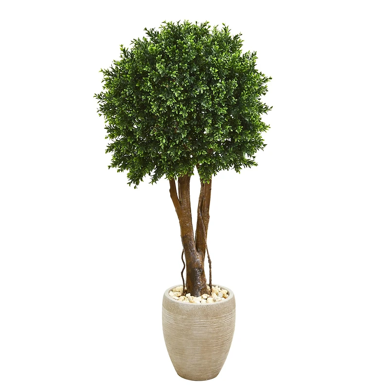 4ft. Boxwood Topiary Tree in Planter
