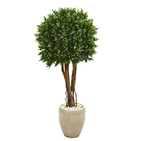 4ft. Boxwood Topiary Tree in Planter