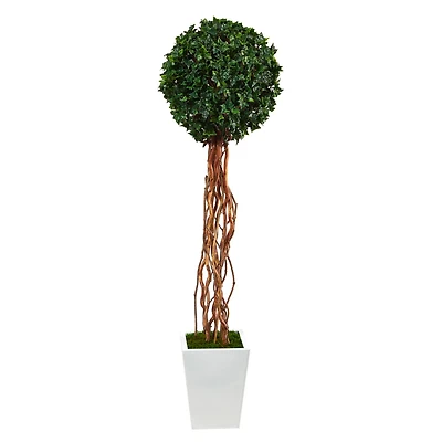 5ft. English Ivy Single Ball Artificial Topiary Tree in White Metal Planter UV Resistant (Indoor/Outdoor)