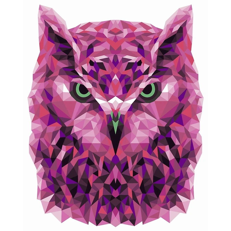 Crafting Spark Celebration Poly Owl Painting by Numbers Kit