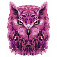 Crafting Spark Celebration Poly Owl Painting by Numbers Kit