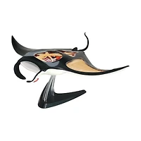 4D Vision™ Manta Ray Anatomy Model