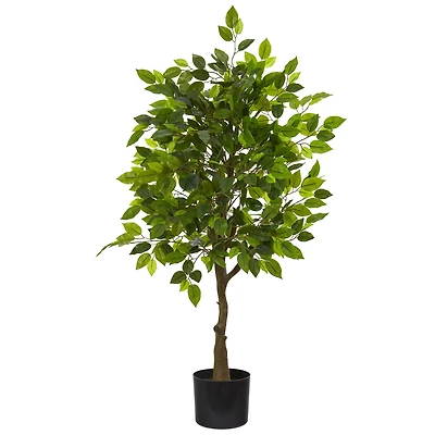 3.25ft. Potted Ficus Tree