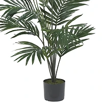 5ft. Potted Kentia Palm Tree