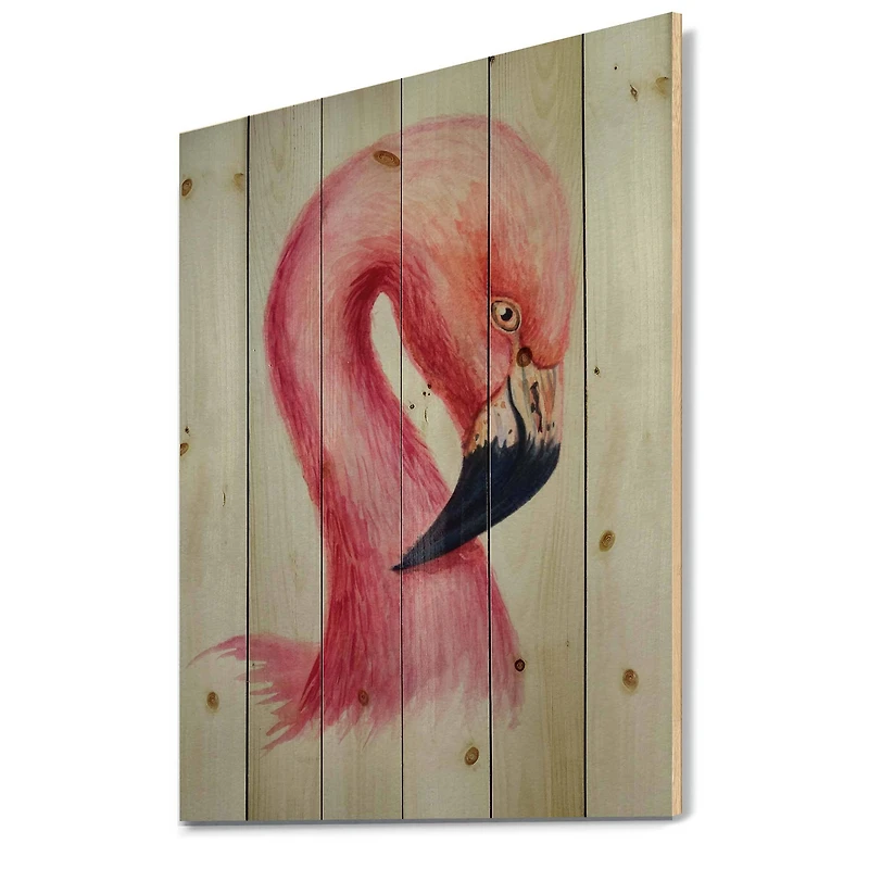 Designart - Portrait of Pink Flamingo IV