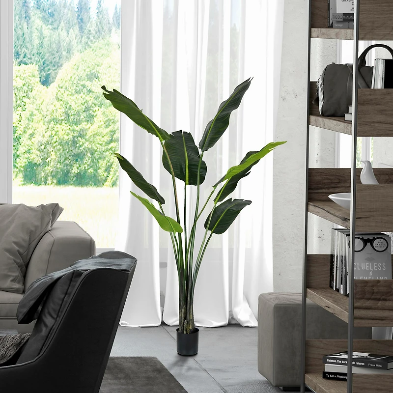 5ft. Potted Travellers Palm Tree